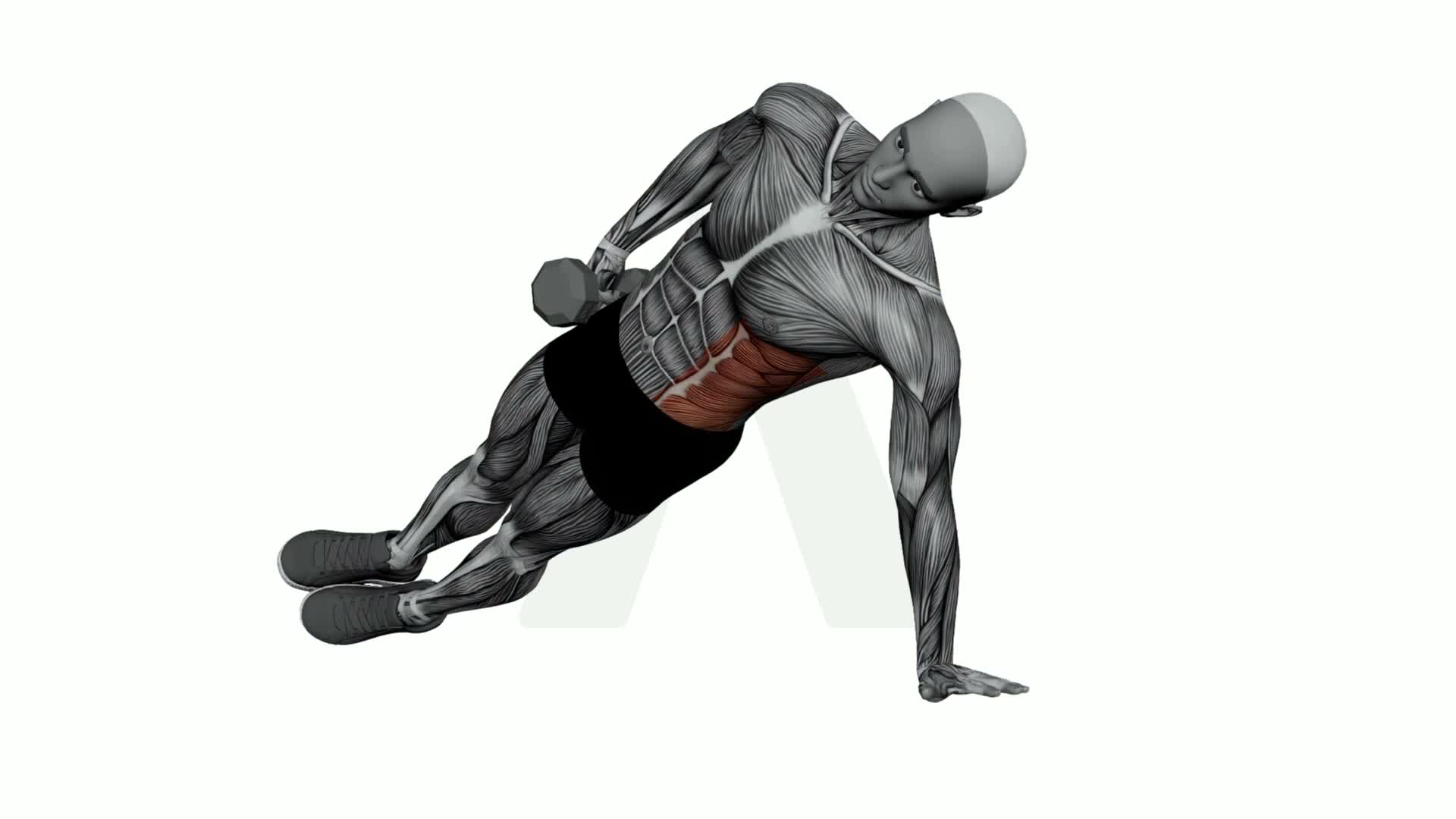 Dumbbell Hand Side Plank exercise demonstration