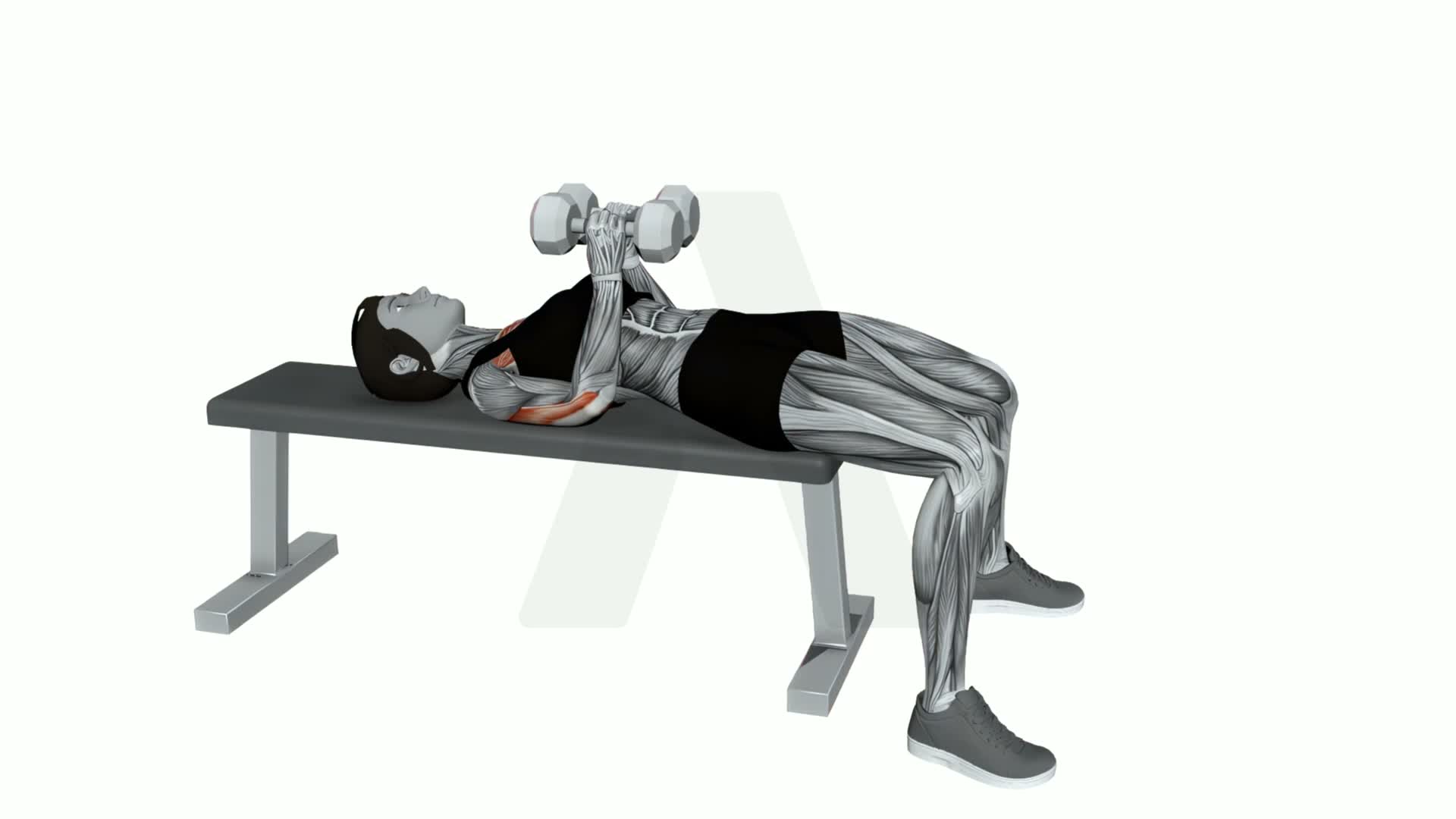 Dumbbell Hex Press exercise demonstration