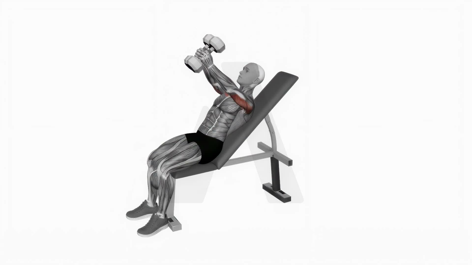 Dumbbell Incline Hammer Shoulder Press exercise demonstration