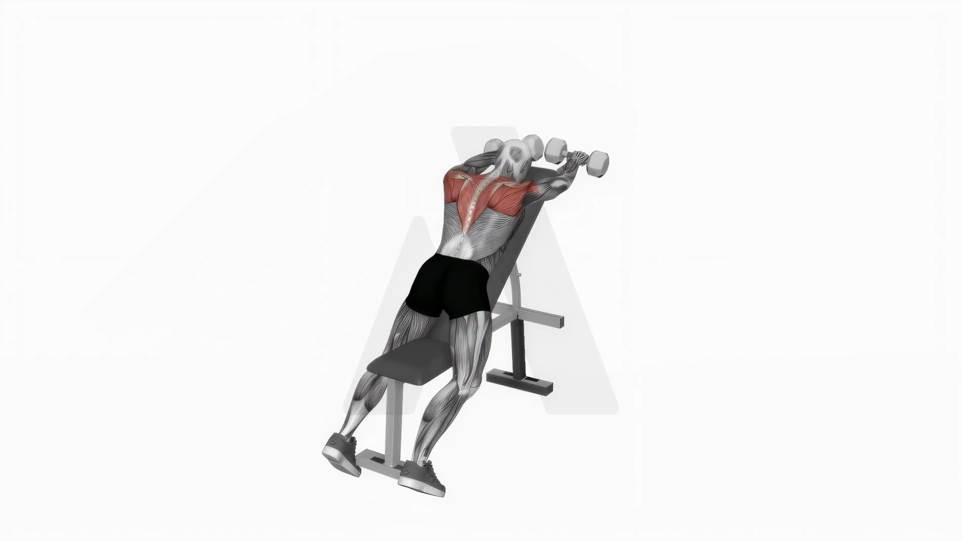 Dumbbell Incline Lying Front Raise exercise demonstration