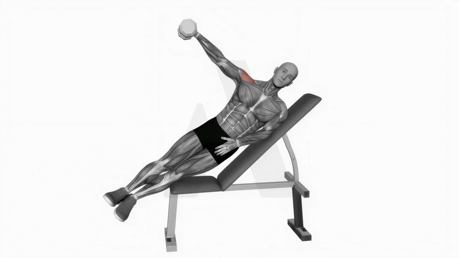 Dumbbell Incline One Arm Lateral Raise exercise demonstration