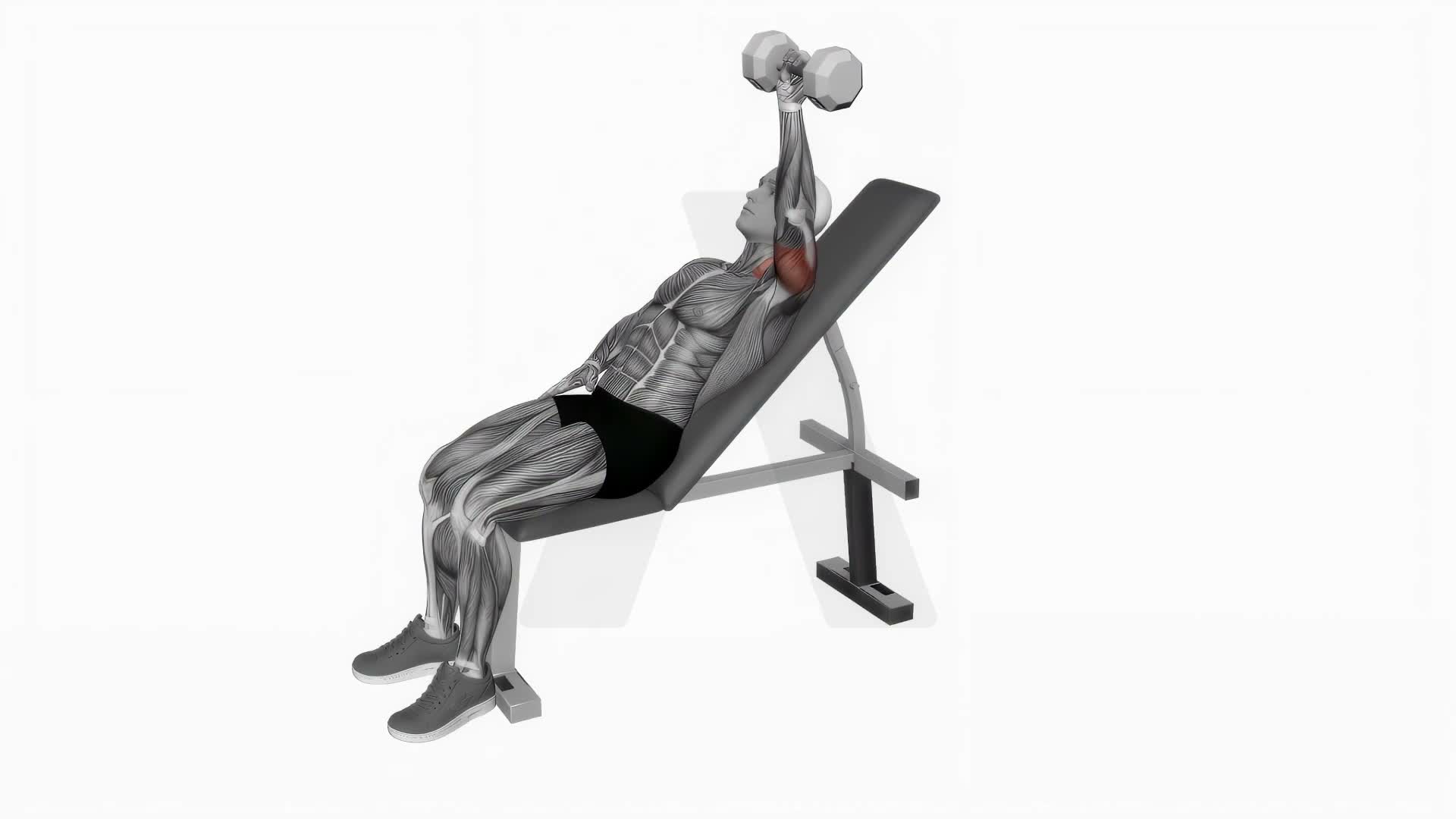 Dumbbell Incline One Arm Press exercise demonstration