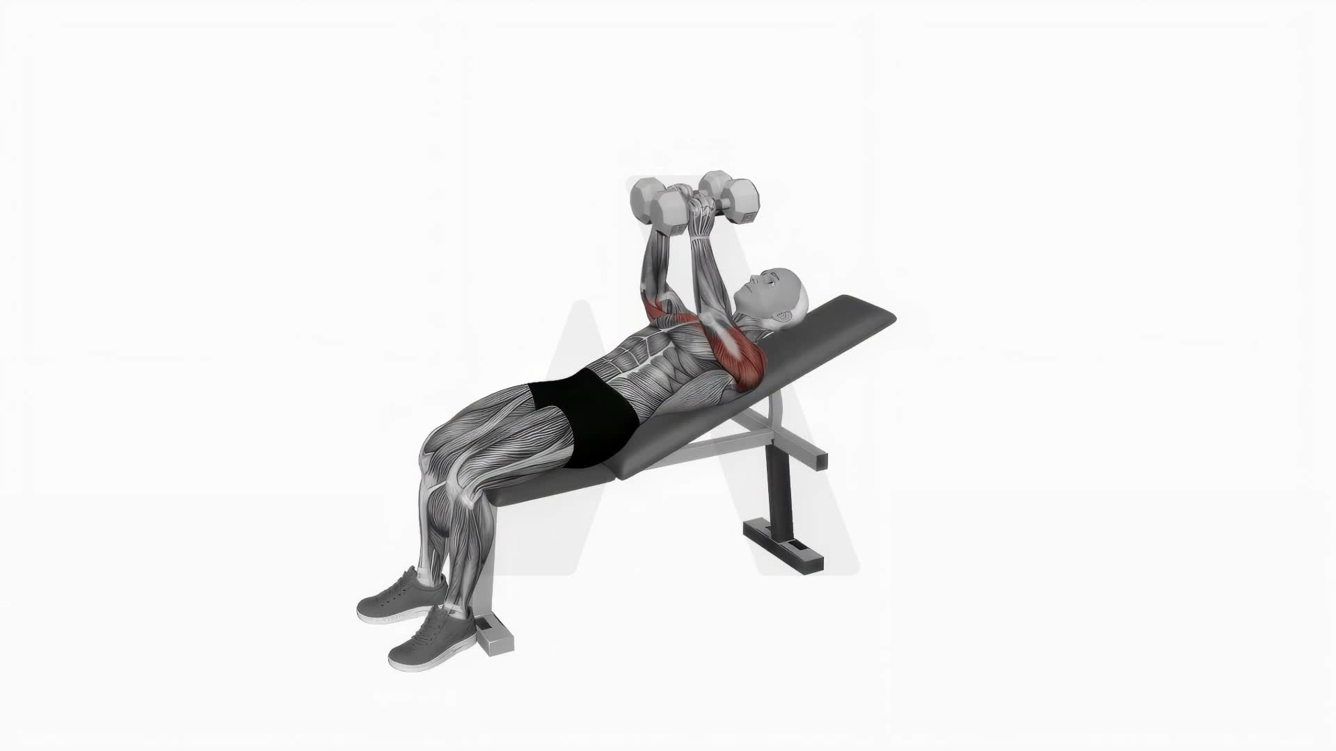 Dumbbell Incline Squeeze Press exercise demonstration