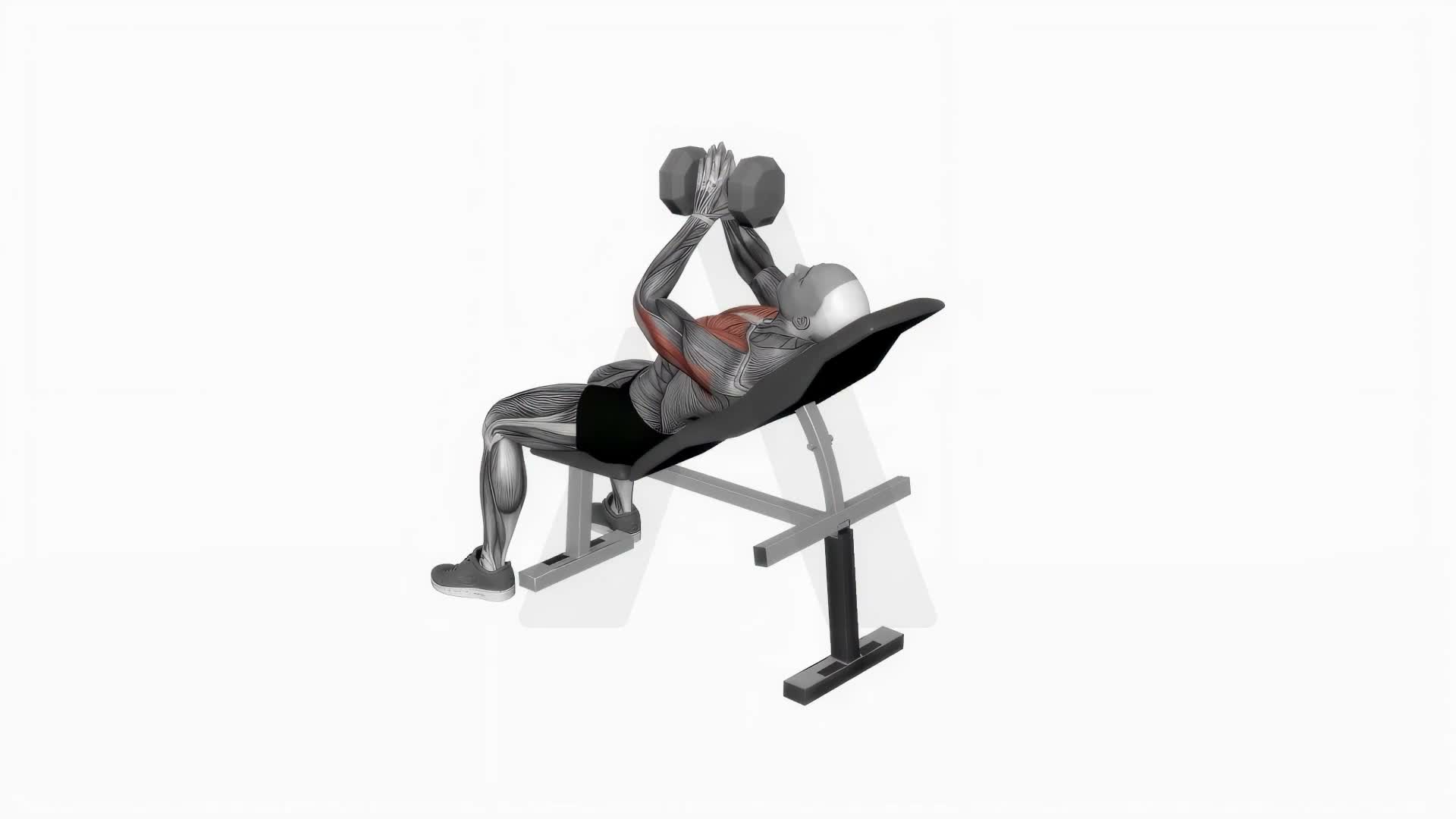 Dumbbell Incline Svend Close Grip Press exercise demonstration