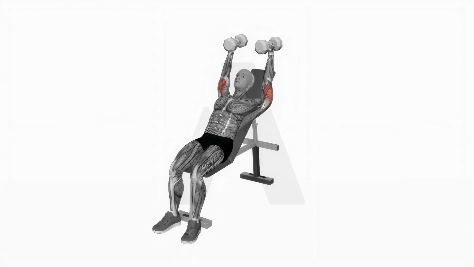 Dumbbell Incline Triceps Extension exercise demonstration