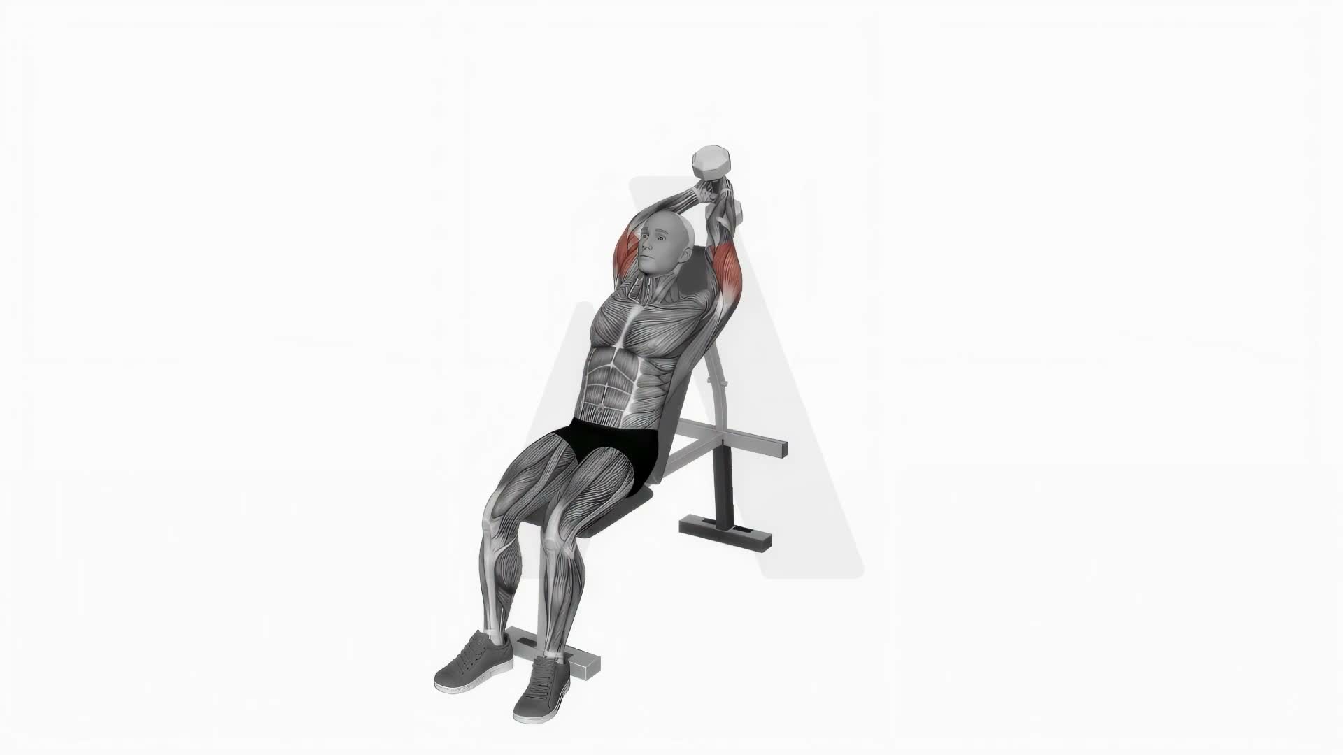 Dumbbell Incline Two Arm Extension exercise demonstration