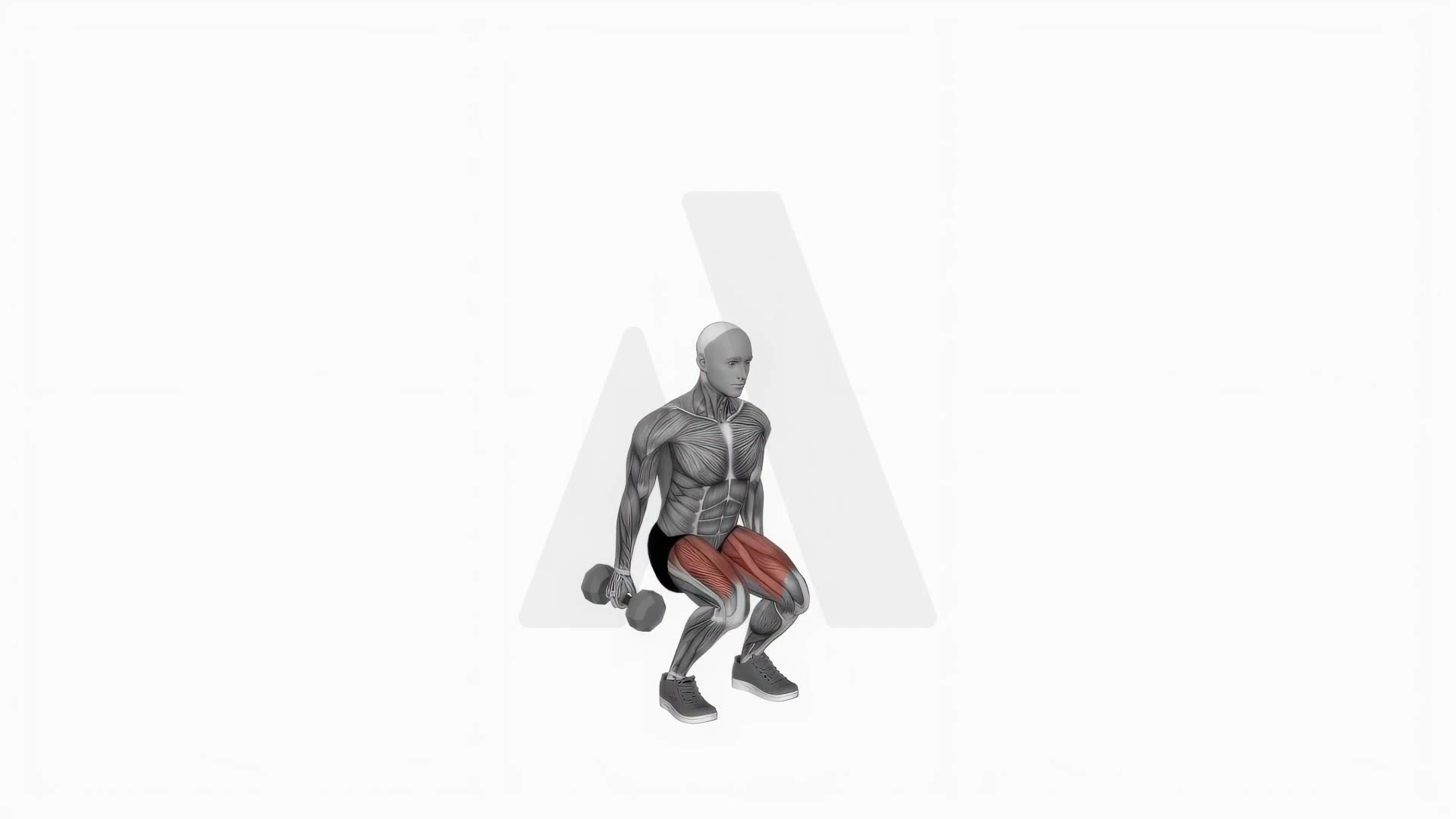 Dumbbell Jumping Squat exercise demonstration