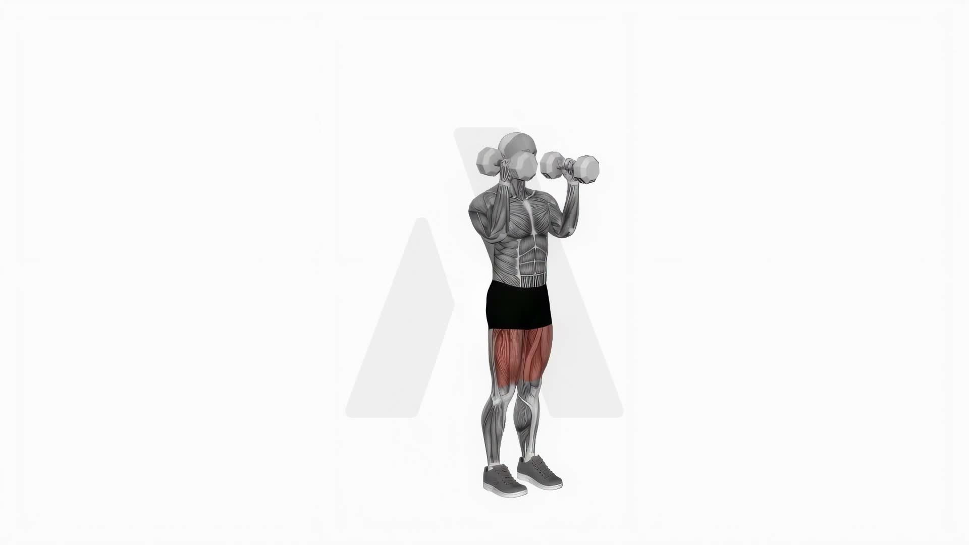 Dumbbell Kneeling Hold To Stand Clean Grip exercise demonstration