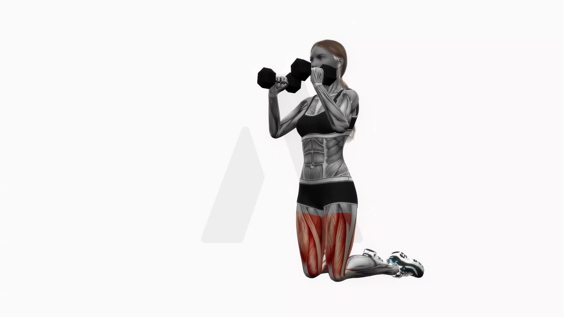 Dumbbell Kneeling Squat exercise demonstration
