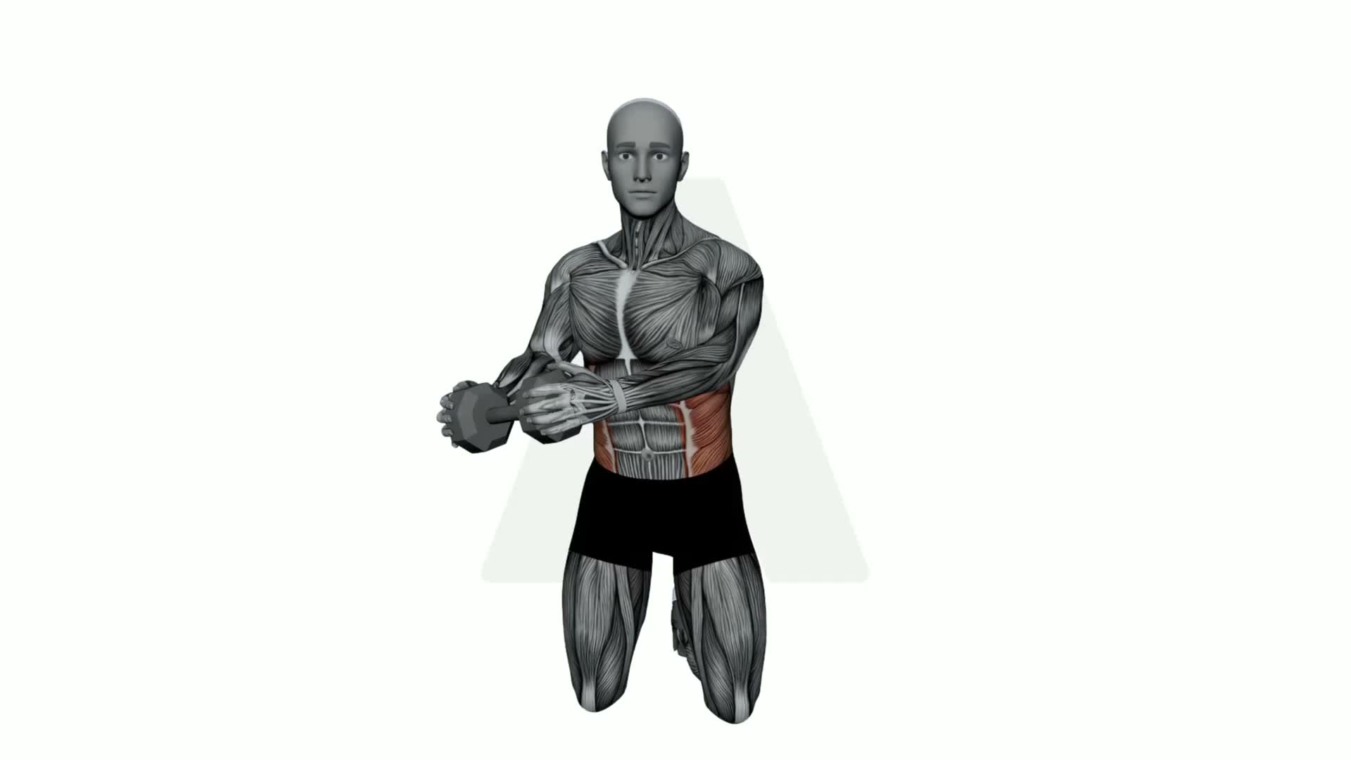 Dumbbell Kneeling Wood Chopper exercise demonstration