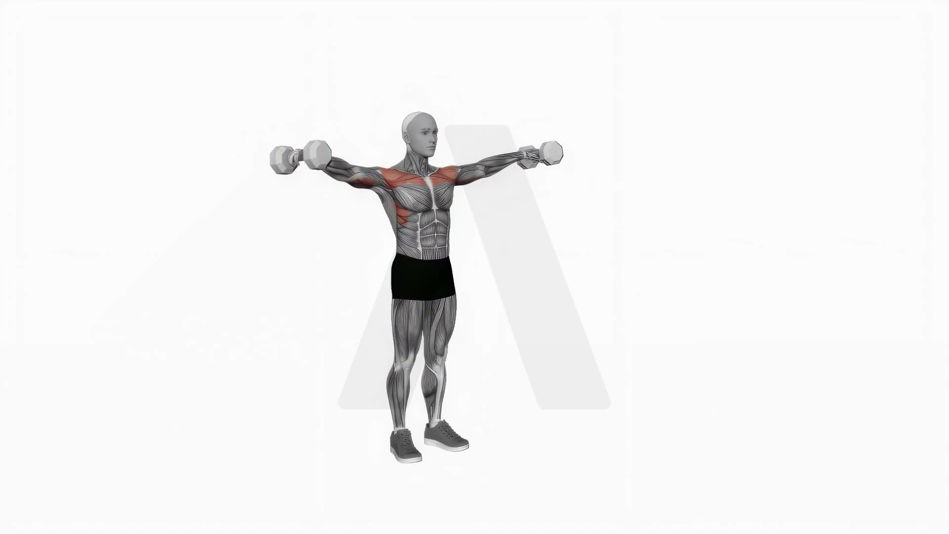 Dumbbell Lateral To Front Raise exercise demonstration