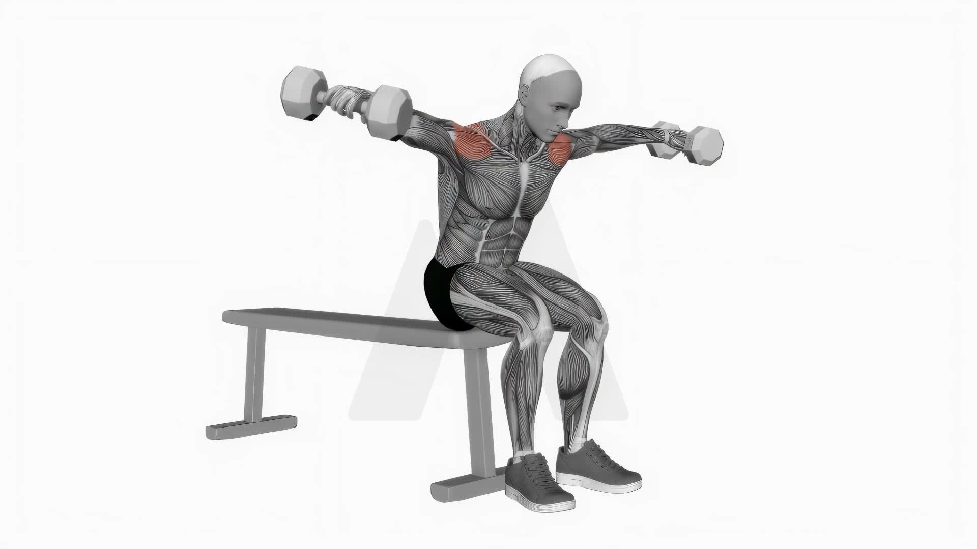 Dumbbell Leaning Fly exercise demonstration