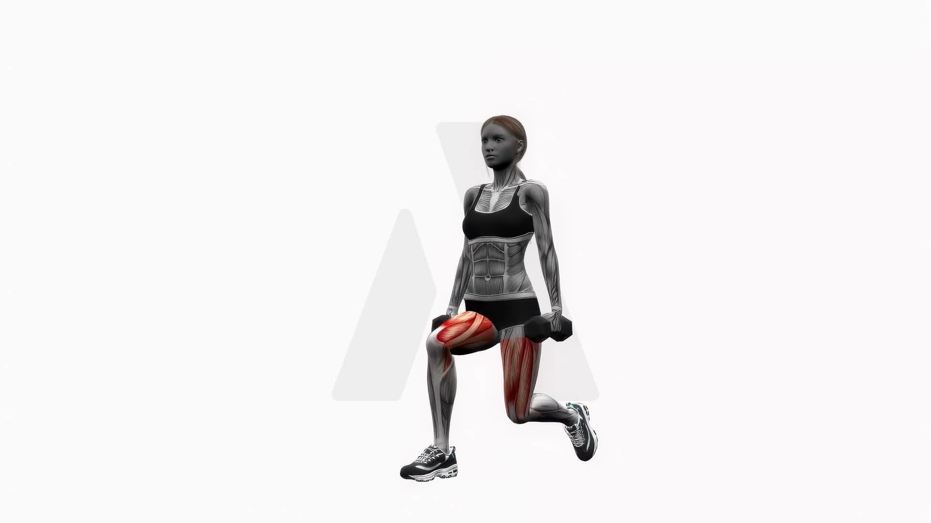 Dumbbell Lunge exercise demonstration