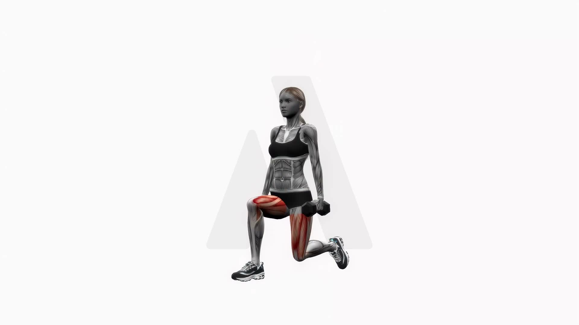 Dumbbell Lunge Pulse exercise demonstration