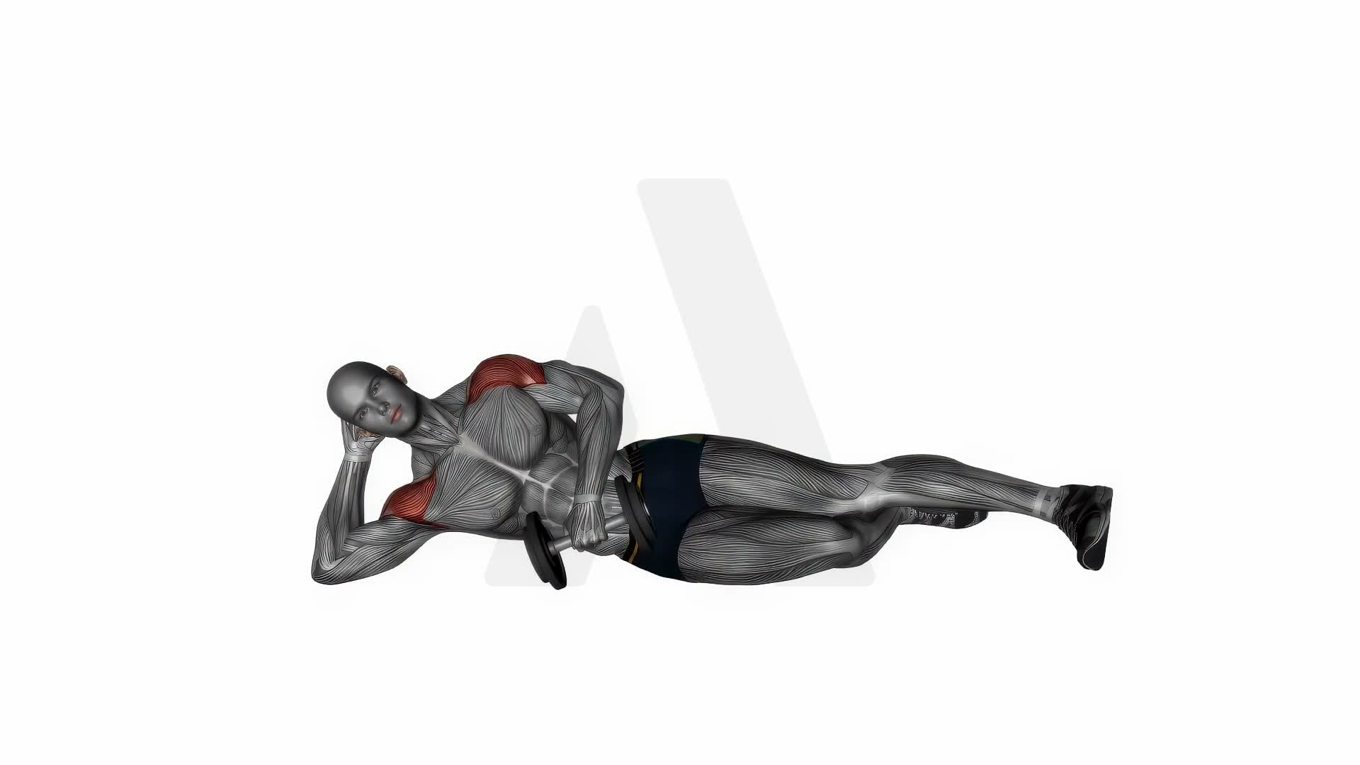 Dumbbell Lying External Shoulder Rotation exercise demonstration