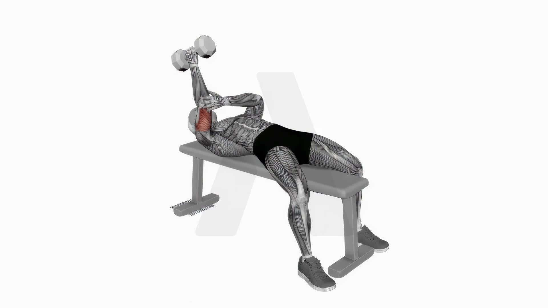 Dumbbell Lying One Arm Neutral Triceps Extension exercise demonstration