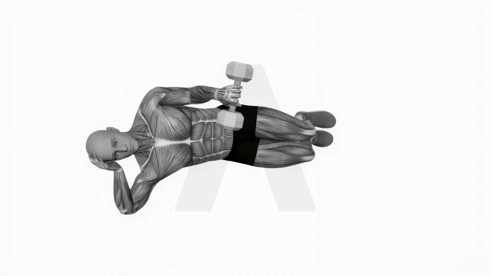 Dumbbell Lying Pronation Rotation On Floor exercise demonstration