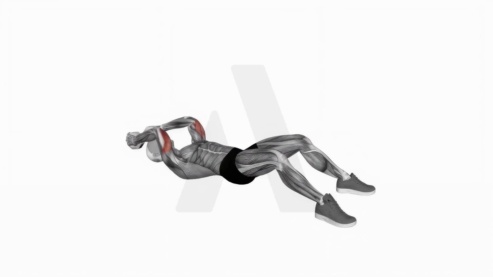 Dumbbell Lying Triceps Extension On Floor exercise demonstration