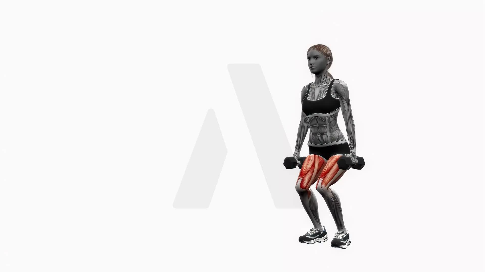 Dumbbell Narrow Stance Squats exercise demonstration