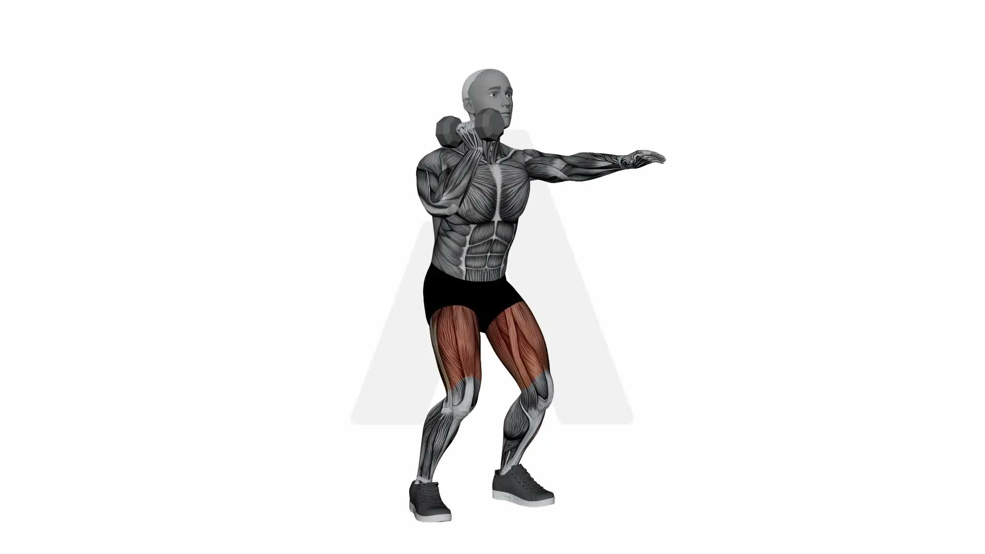 Dumbbell Offset Squat exercise demonstration