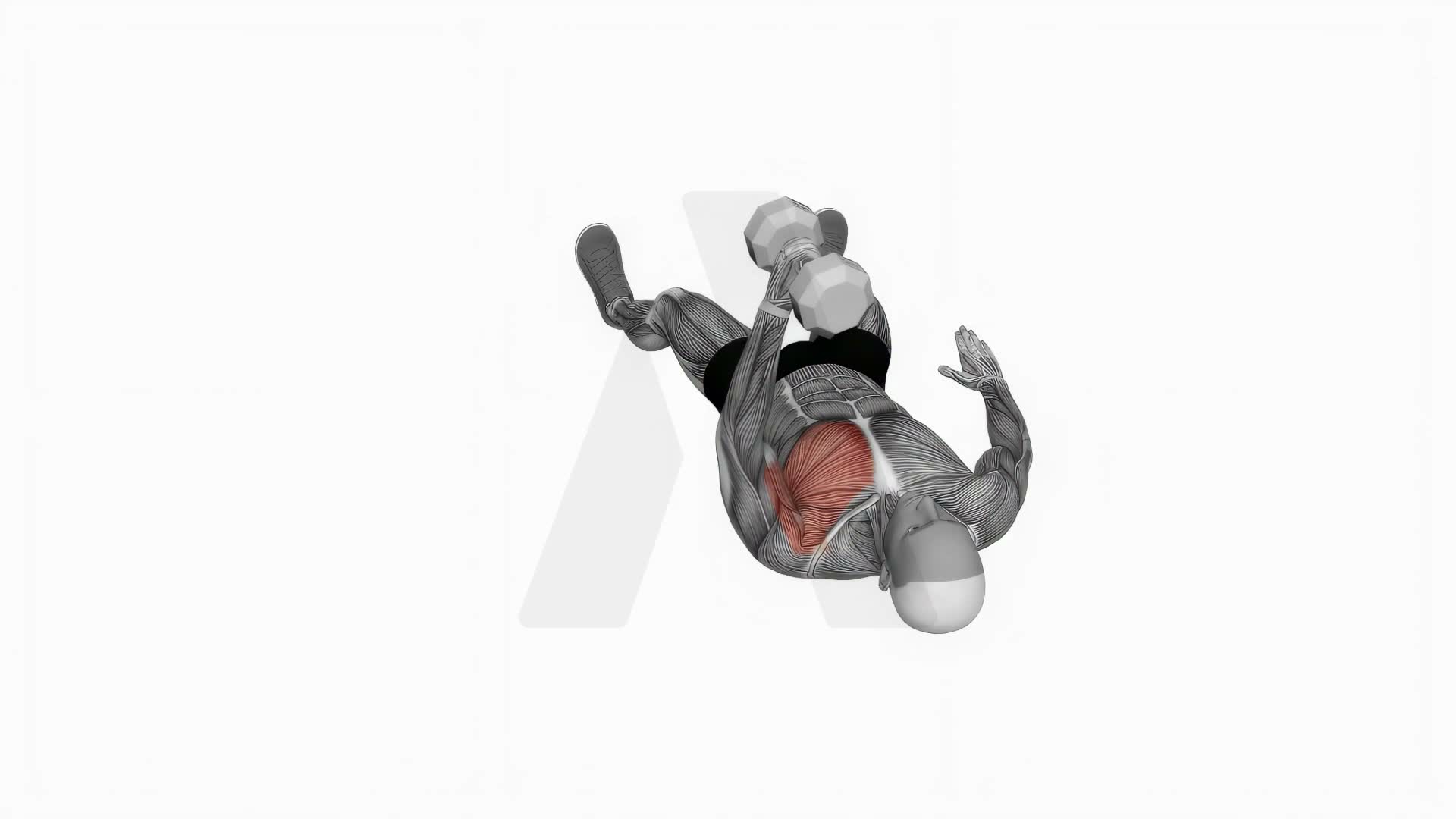 Dumbbell One Arm Floor Fly exercise demonstration