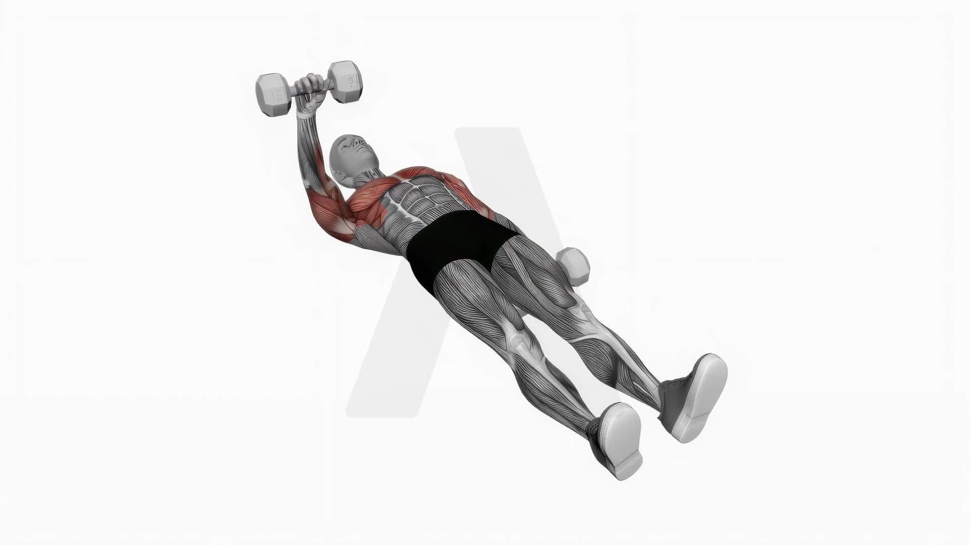 Dumbbell One Arm Floor Press exercise demonstration