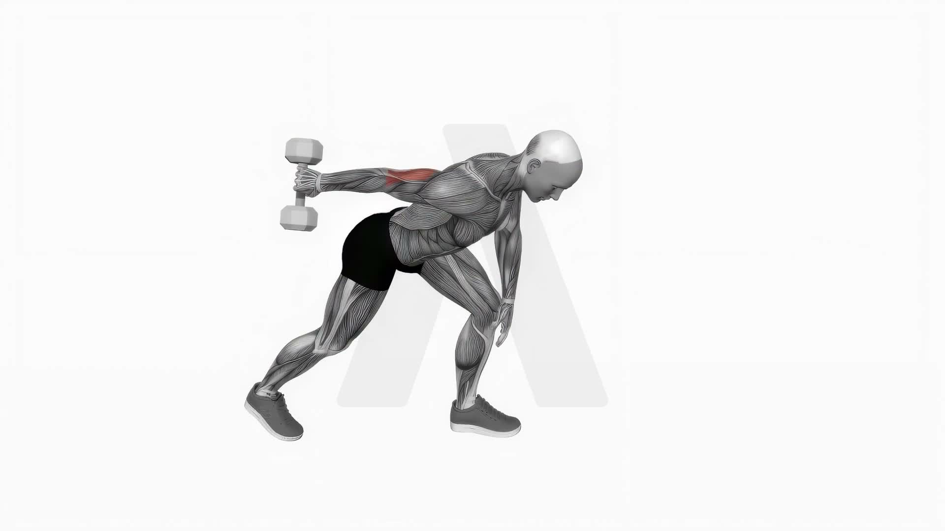 Dumbbell One Arm Kickback exercise demonstration
