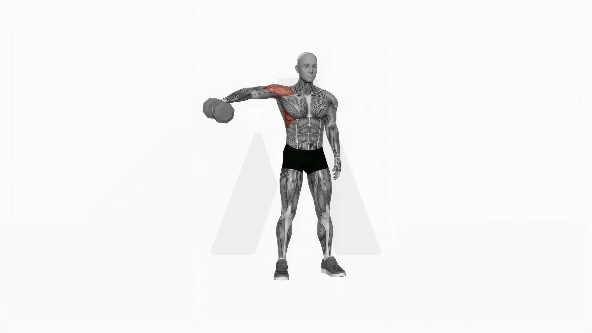 Dumbbell One Arm Lateral Raise exercise demonstration