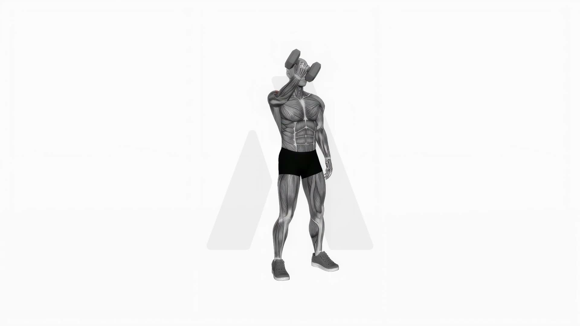 Dumbbell One Arm Low Fly exercise demonstration