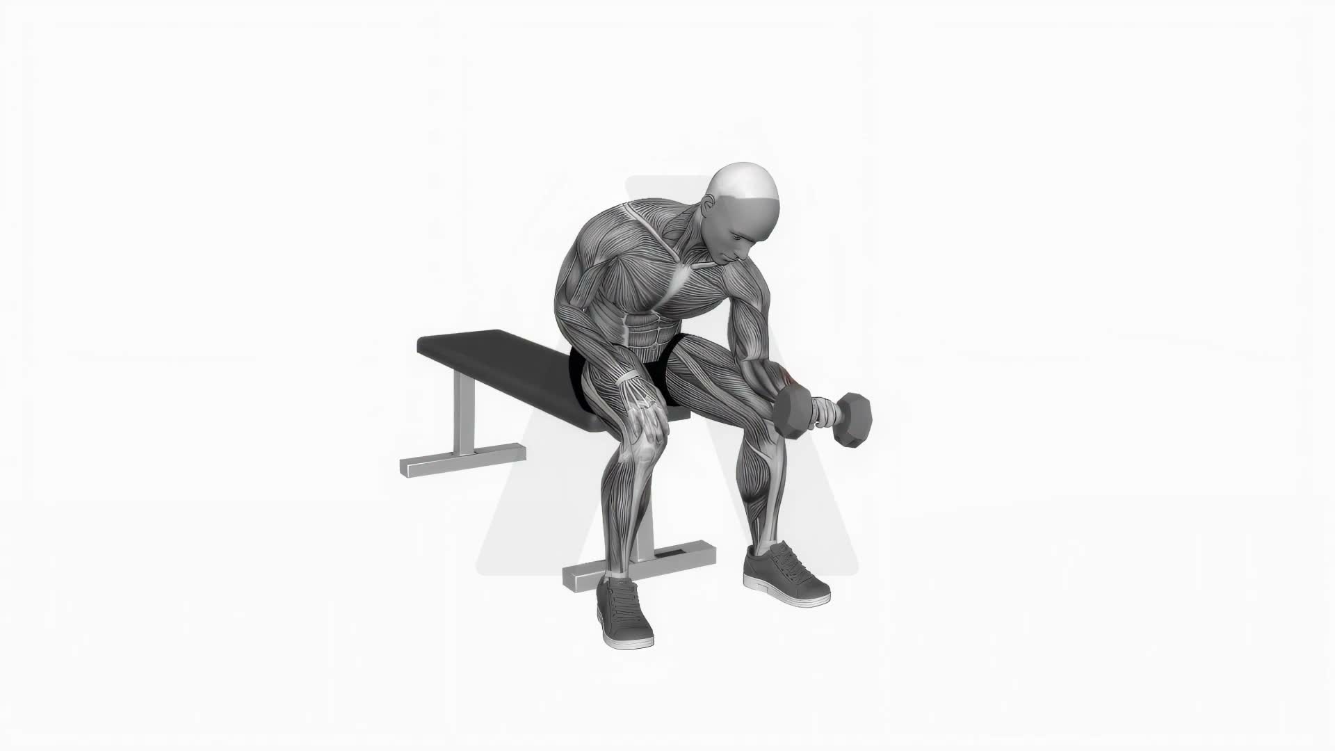 Dumbbell One Arm Reverse Wrist Curl exercise demonstration