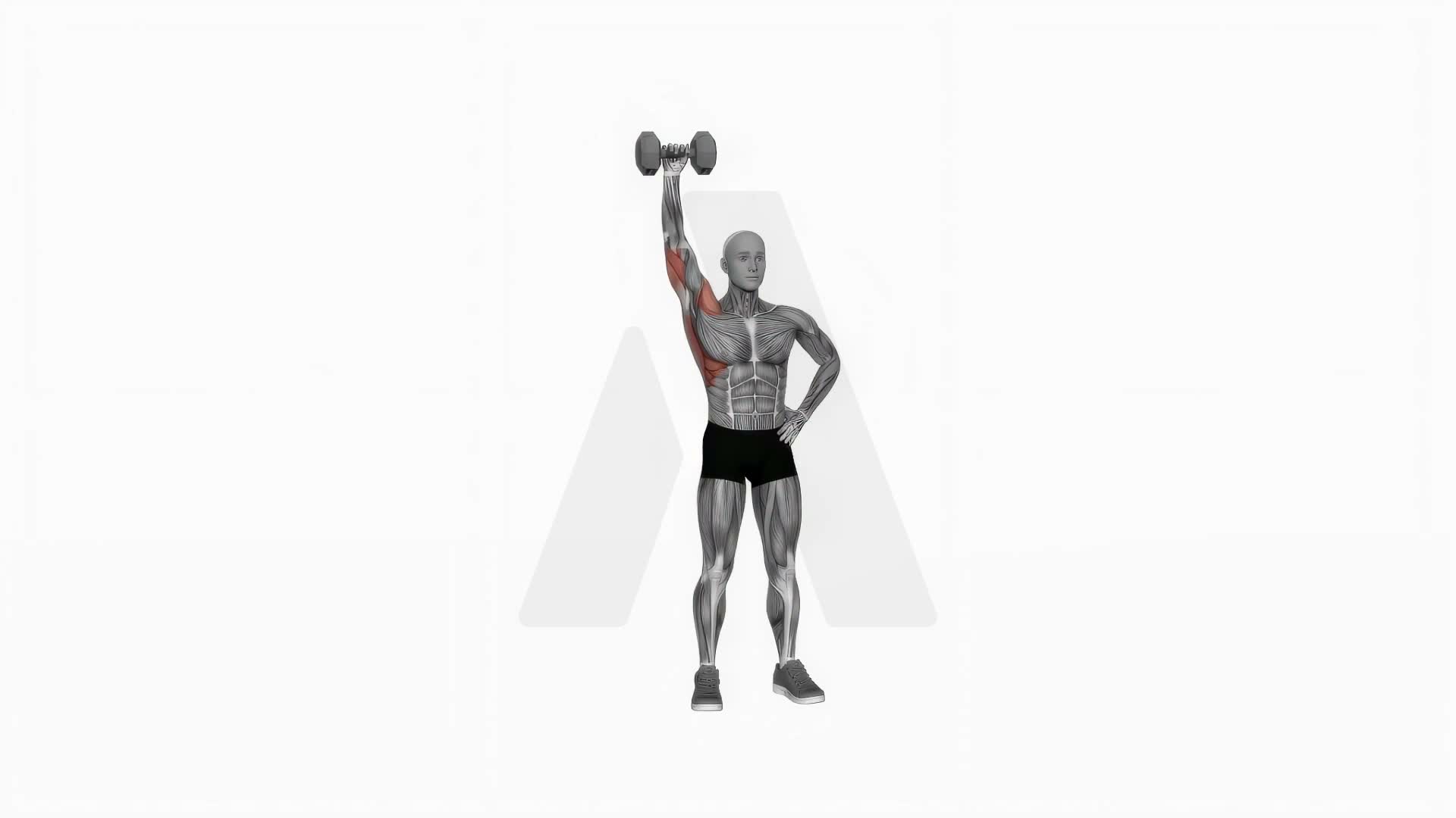 Dumbbell One Arm Shoulder Press (Version 2) exercise demonstration