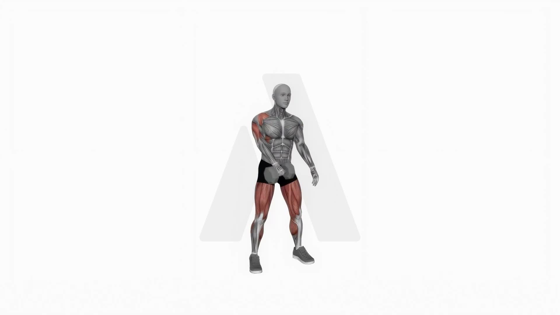 Dumbbell One Arm Snatch exercise demonstration