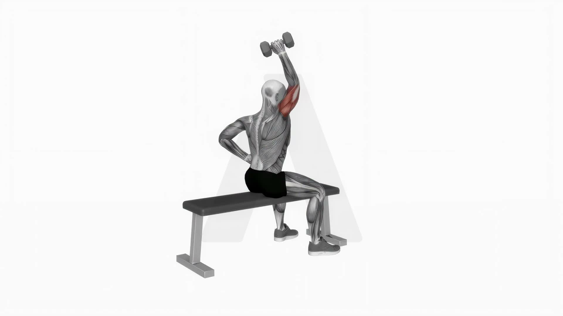 Dumbbell One Arm Triceps Extension (On Bench) exercise demonstration