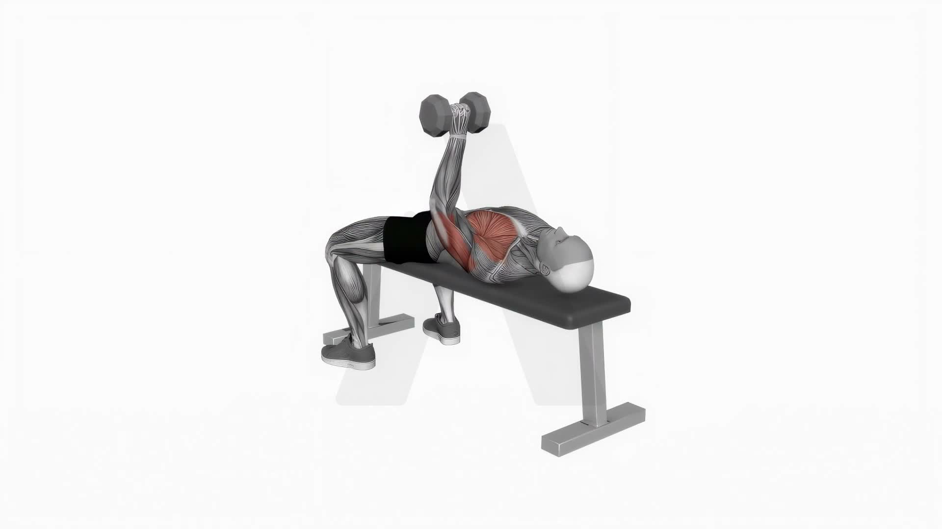 Dumbbell One Arm Wide Grip Bench Press exercise demonstration