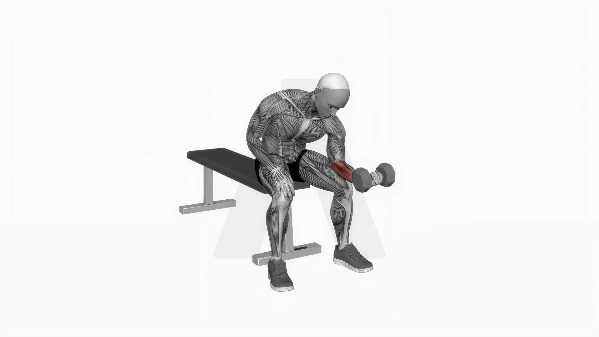 Dumbbell One Arm Wrist Curl exercise demonstration