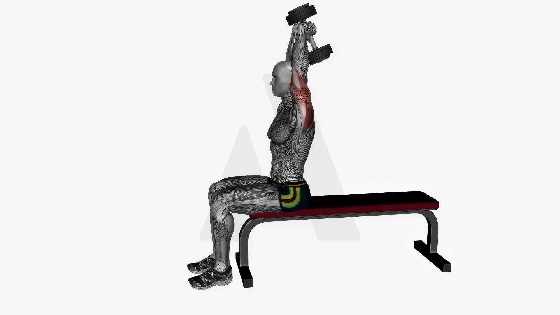 Dumbbell Overhead Extension Seated exercise demonstration