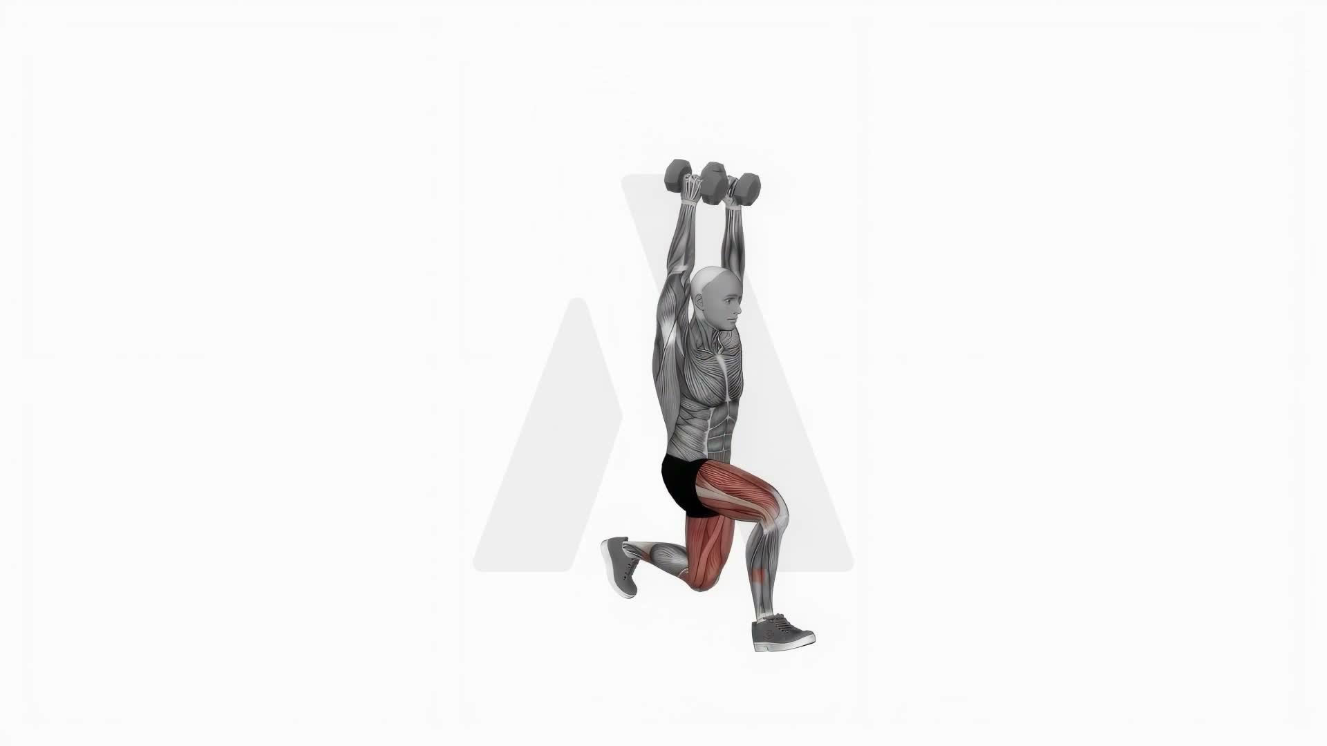 Dumbbell Overhead Lunge exercise demonstration