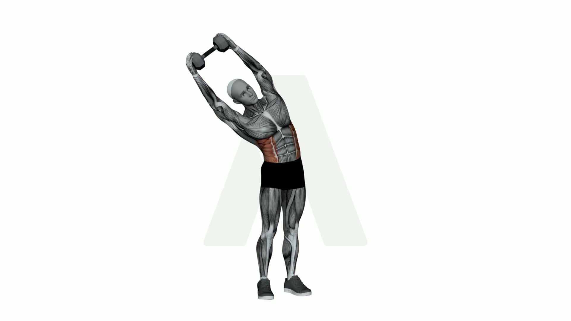 Dumbbell Overhead Side Bend exercise demonstration