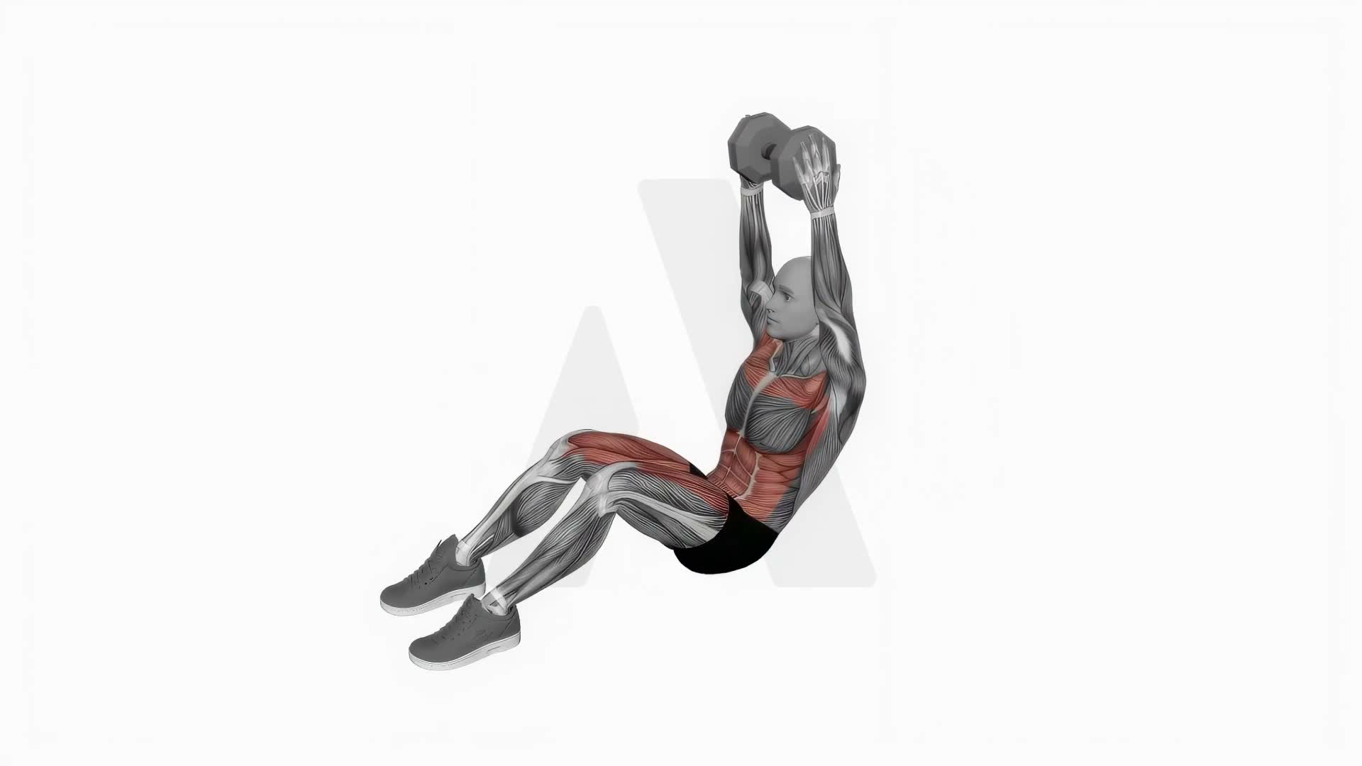 Dumbbell Overhead Sit Up exercise demonstration