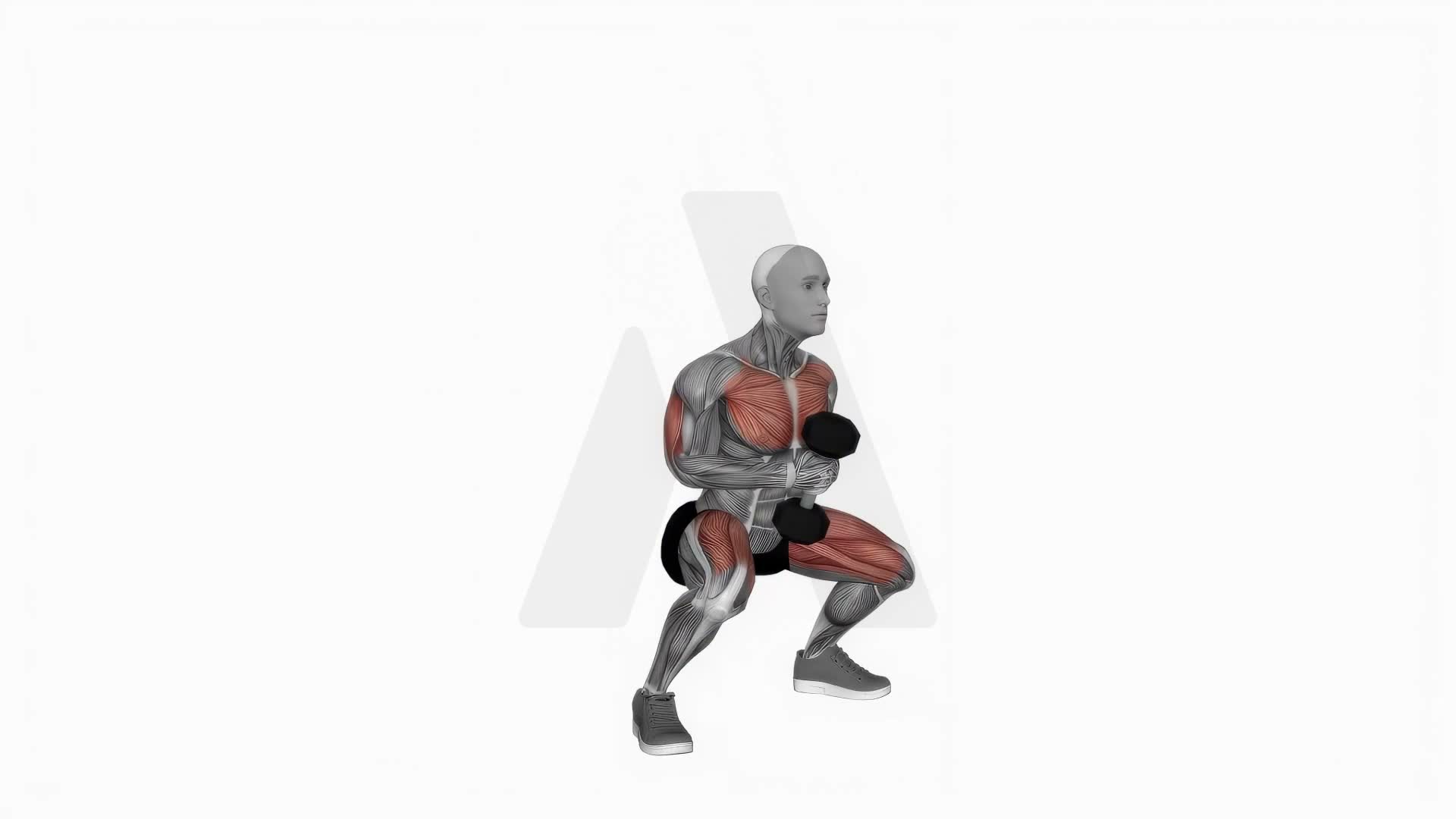 Dumbbell Press Squat exercise demonstration