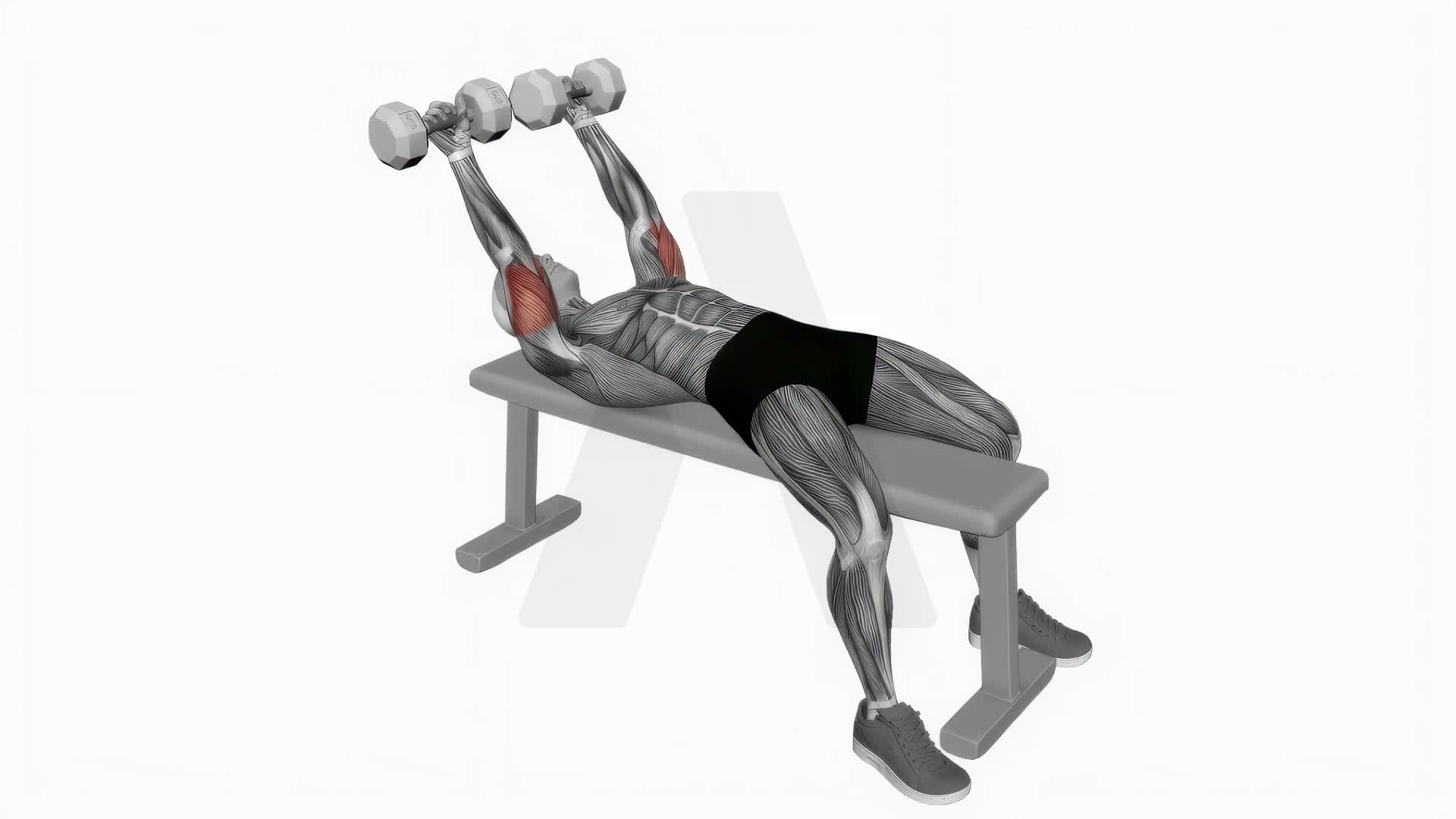 Dumbbell Pronate Grip Triceps Extension exercise demonstration