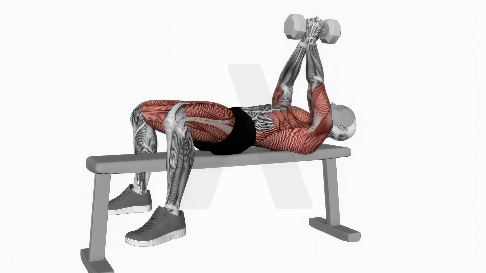 Dumbbell Pullover (Version 2) exercise demonstration