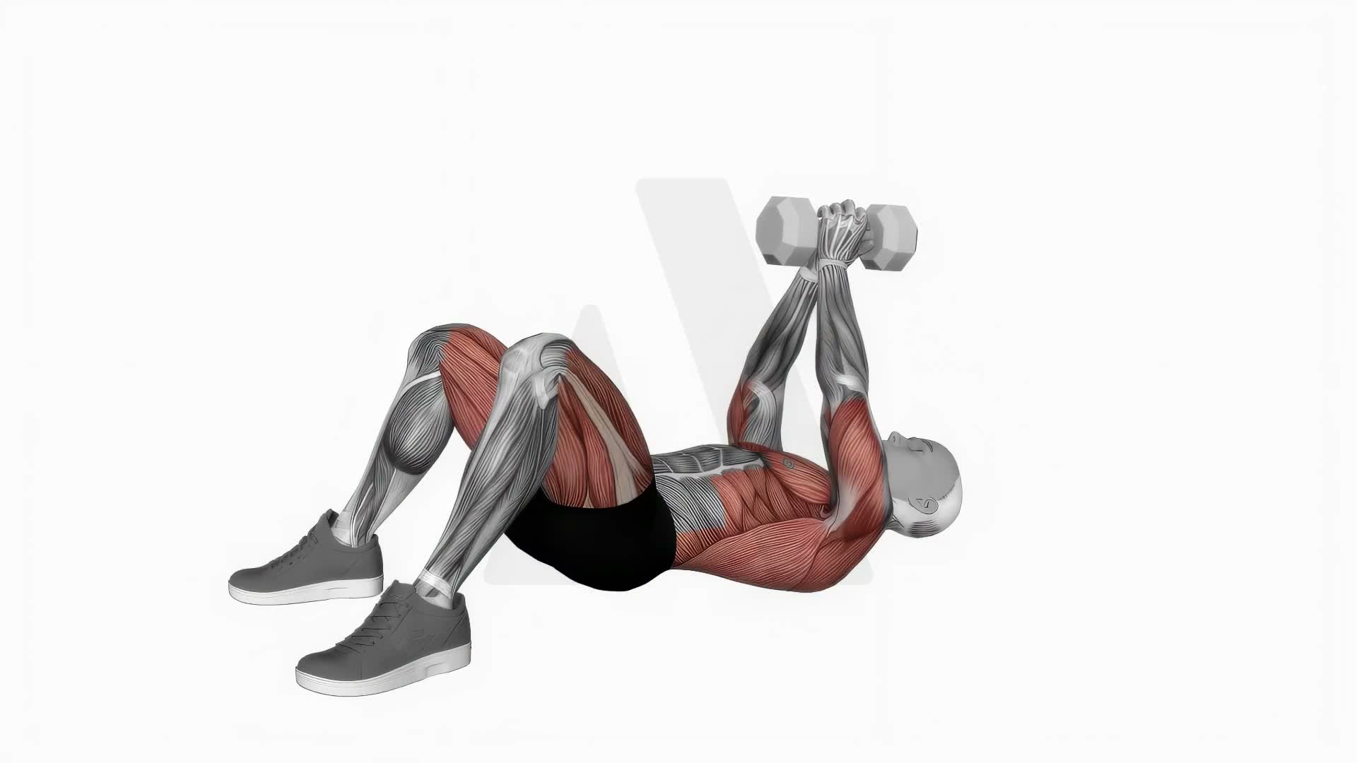 Dumbbell Pullover On Floor exercise demonstration