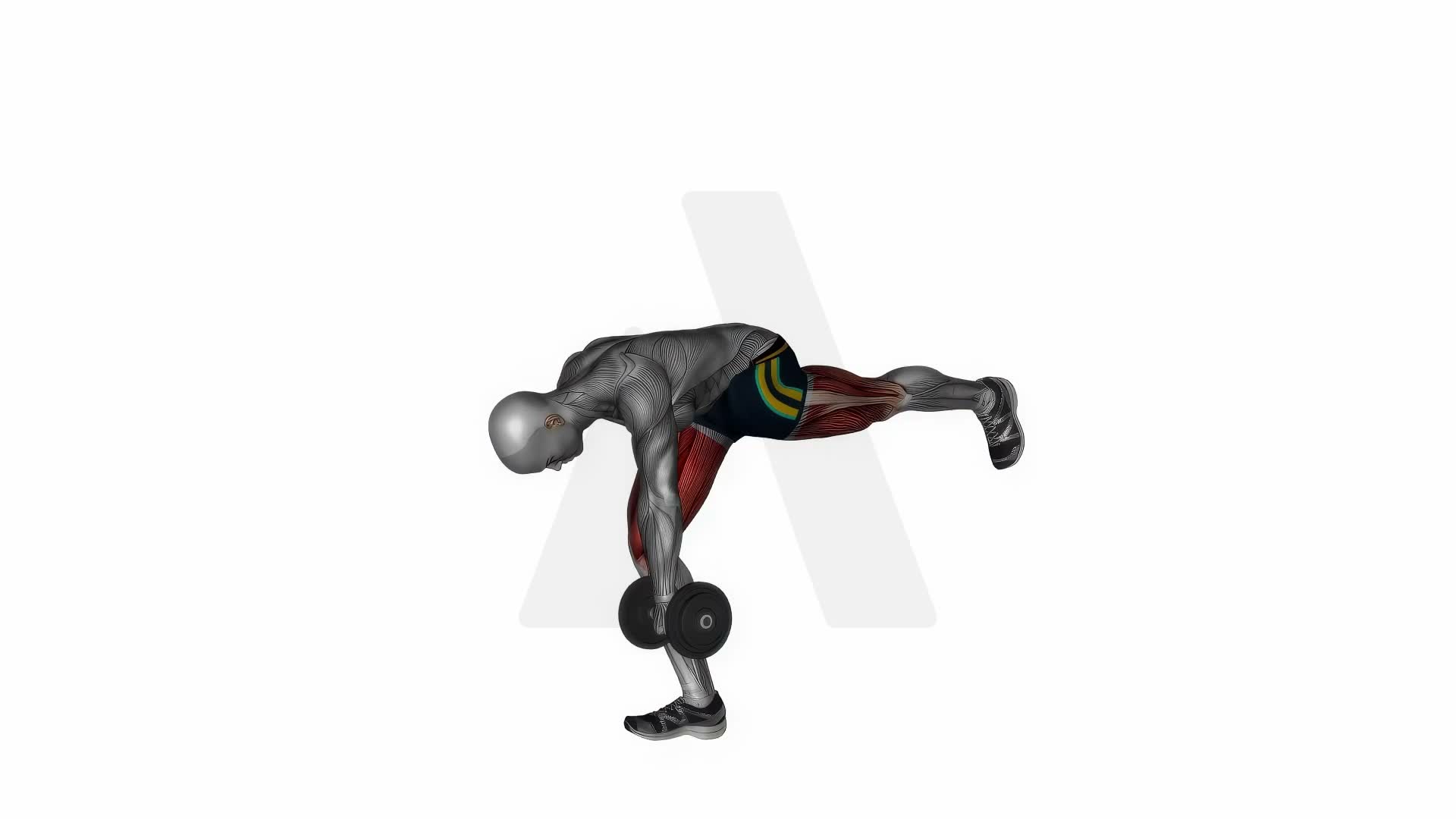 Dumbbell Rdl Stretch Isometric exercise demonstration