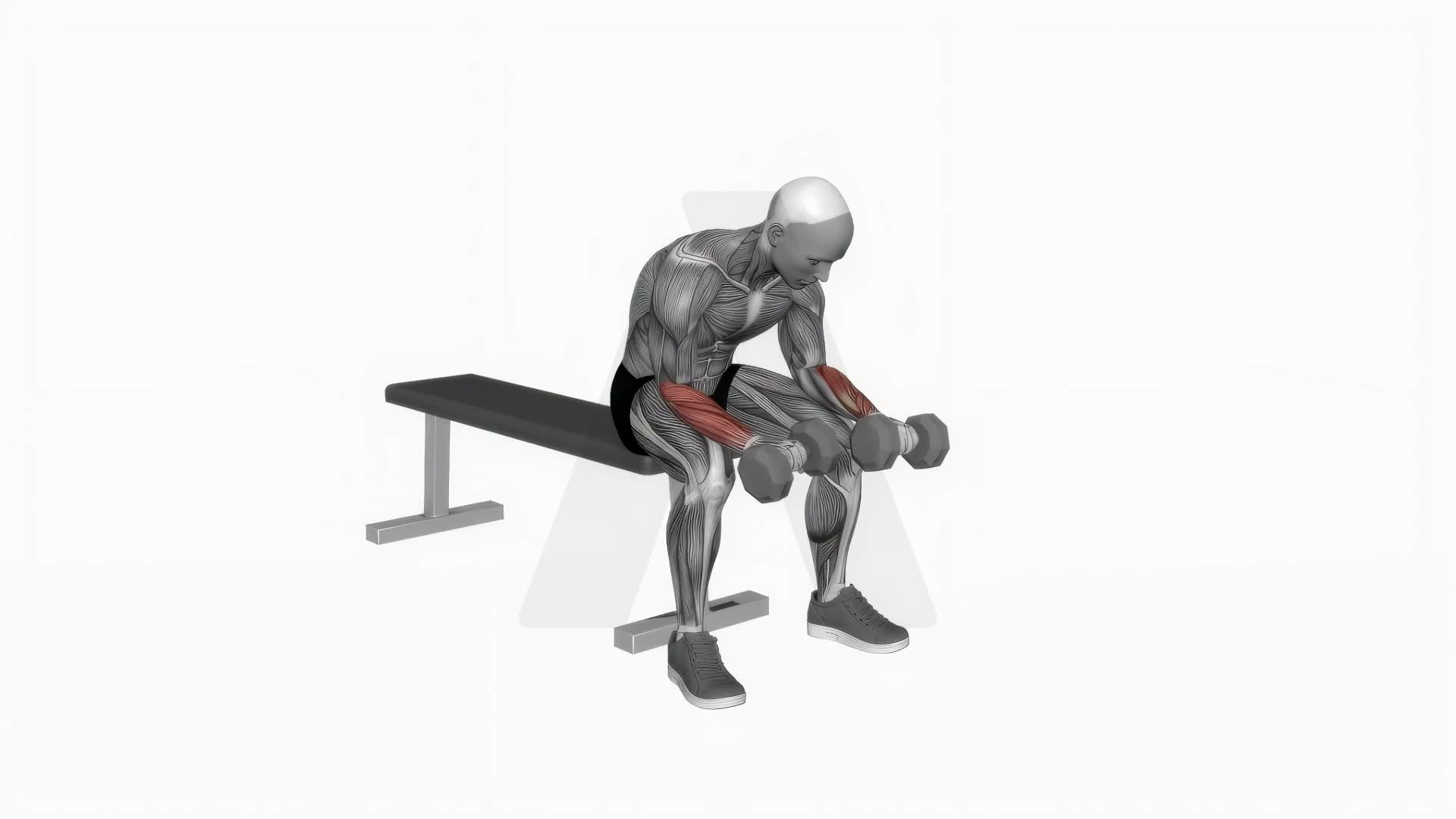 Dumbbell Reverse Wrist Curl exercise demonstration