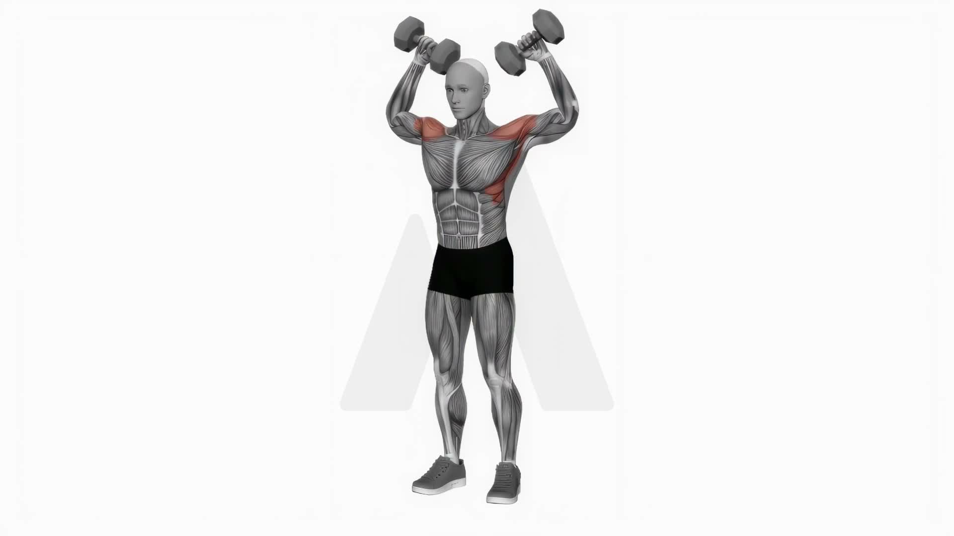 Dumbbell Scott Press (360 Degrees) exercise demonstration