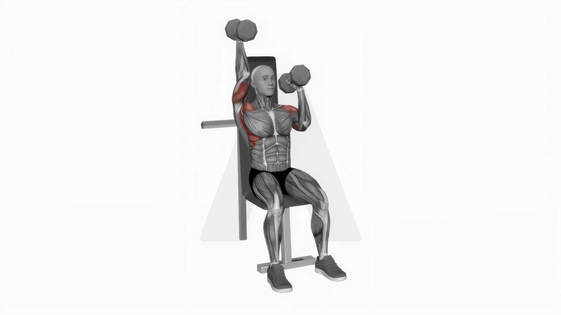 Dumbbell Seated Alternate Press exercise demonstration