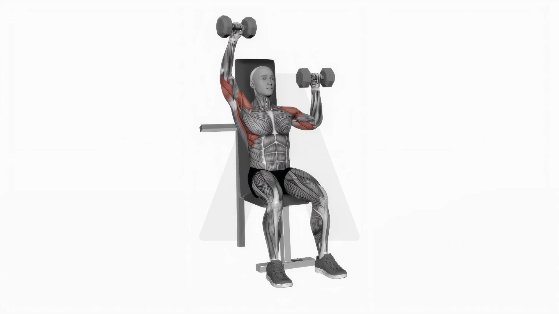 Dumbbell Seated Alternate Shoulder Press exercise demonstration