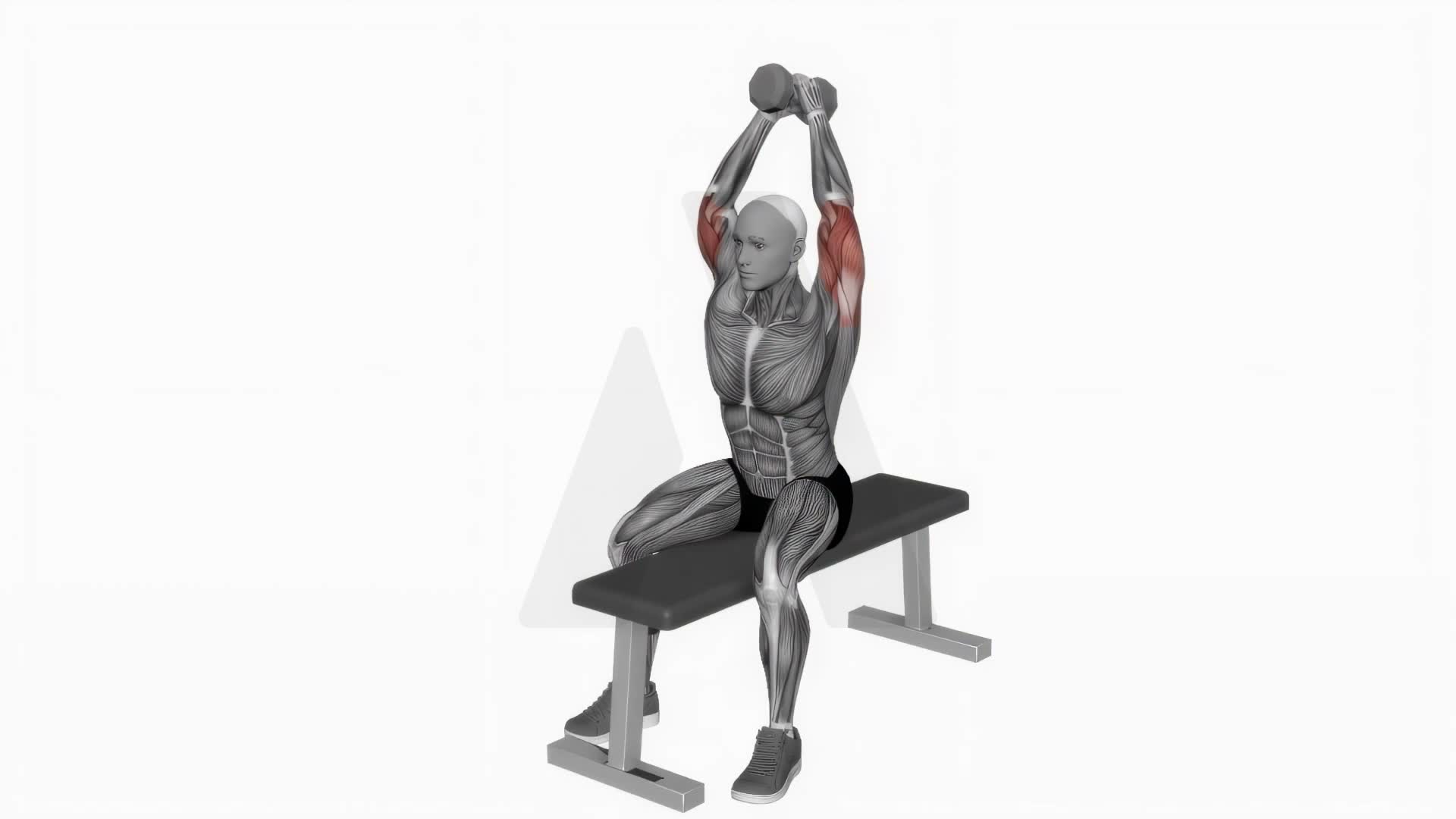Dumbbell Seated Bench Extension exercise demonstration
