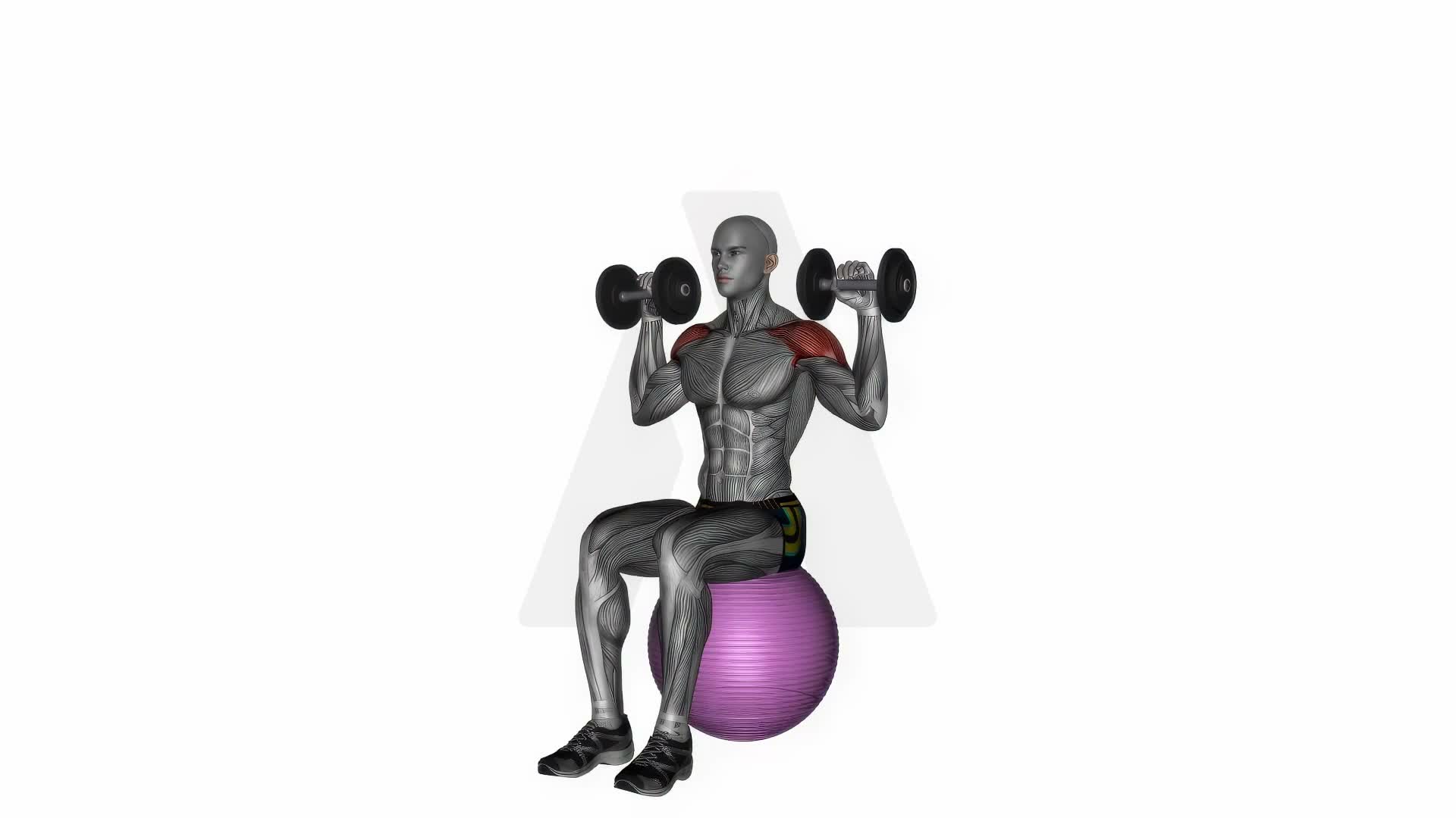 Dumbbell Seated On Exercise Ball Shoulder Press exercise demonstration